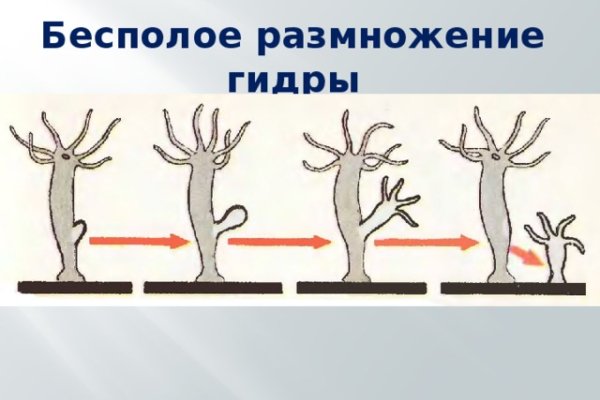 Kraken market ссылка тор