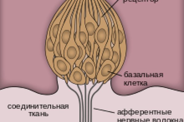 Сайт kraken в tor