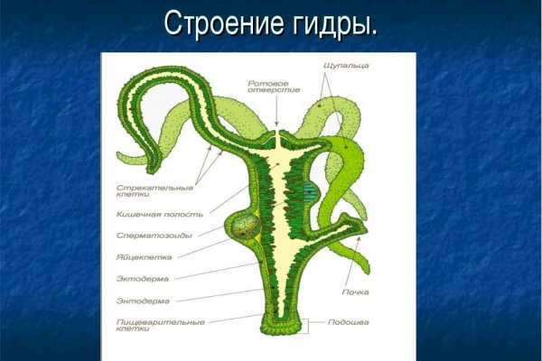 Кракен сайт продаж